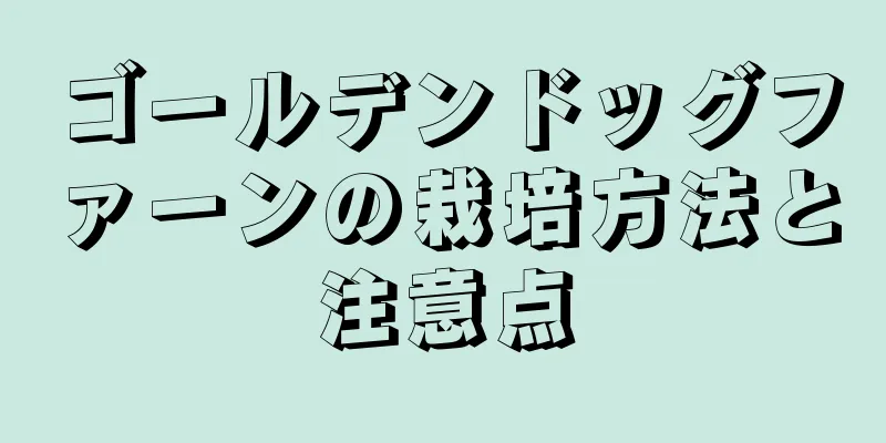 ゴールデンドッグファーンの栽培方法と注意点