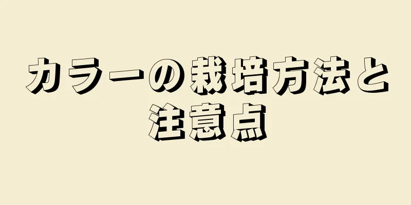 カラーの栽培方法と注意点