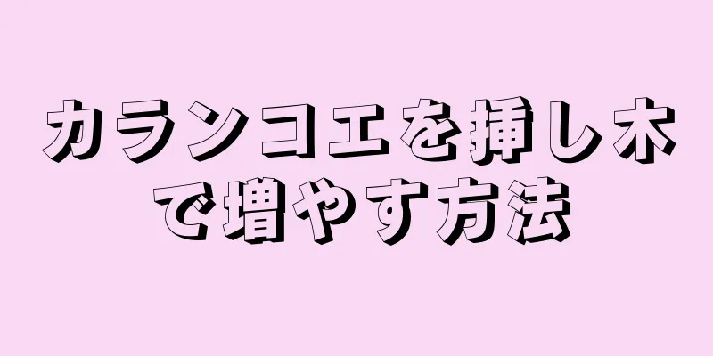 カランコエを挿し木で増やす方法