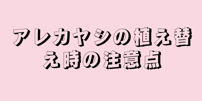 アレカヤシの植え替え時の注意点