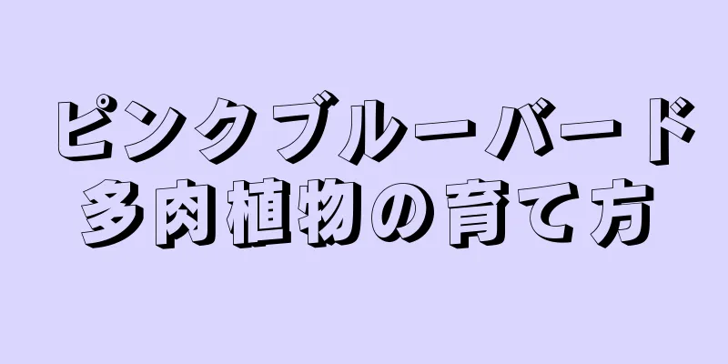 ピンクブルーバード多肉植物の育て方