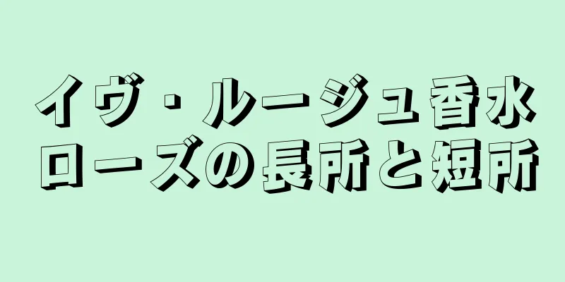 イヴ・ルージュ香水ローズの長所と短所