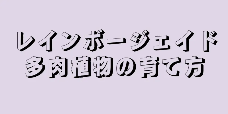 レインボージェイド多肉植物の育て方