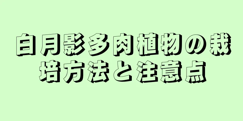 白月影多肉植物の栽培方法と注意点