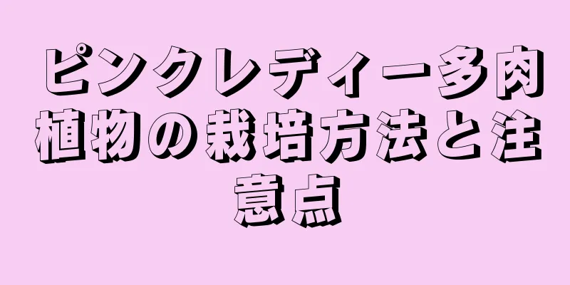 ピンクレディー多肉植物の栽培方法と注意点