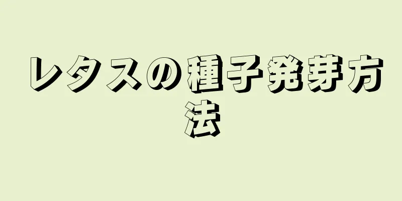 レタスの種子発芽方法