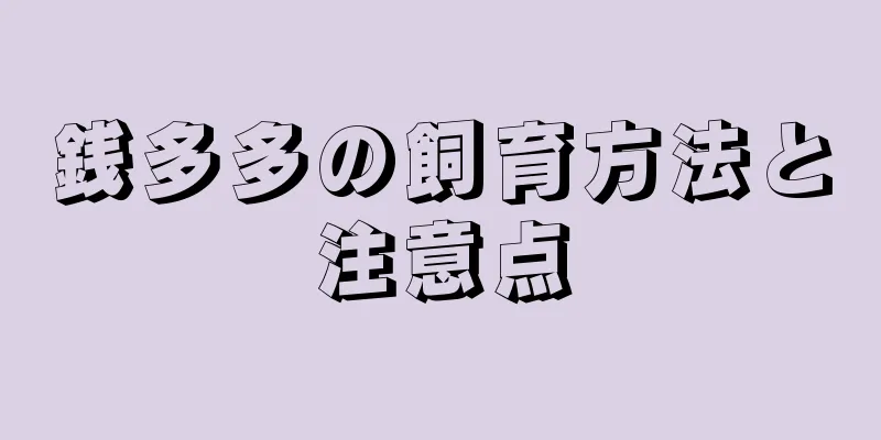銭多多の飼育方法と注意点
