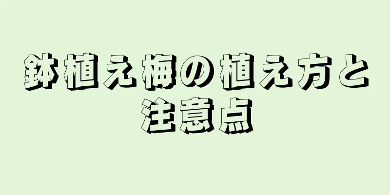 鉢植え梅の植え方と注意点