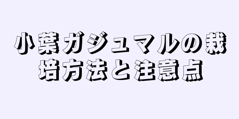 小葉ガジュマルの栽培方法と注意点