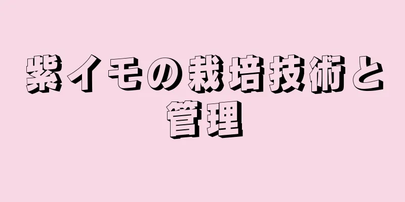 紫イモの栽培技術と管理
