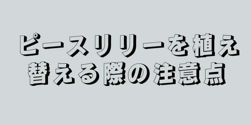 ピースリリーを植え替える際の注意点
