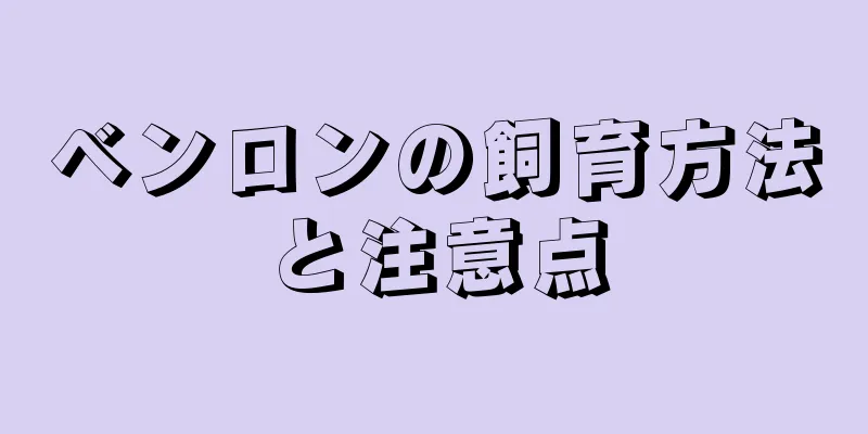 ベンロンの飼育方法と注意点