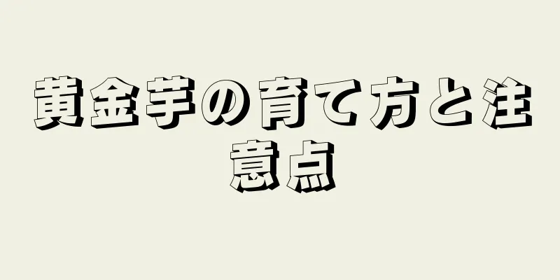 黄金芋の育て方と注意点