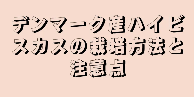 デンマーク産ハイビスカスの栽培方法と注意点