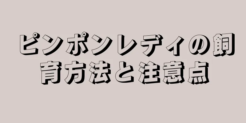 ピンポンレディの飼育方法と注意点