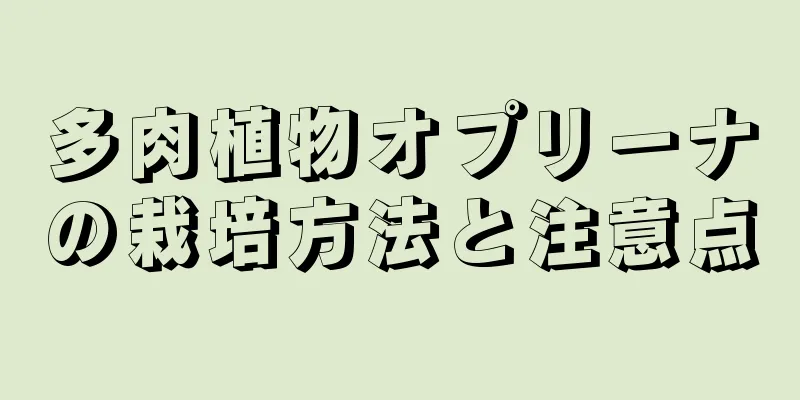 多肉植物オプリーナの栽培方法と注意点