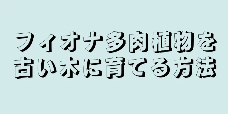 フィオナ多肉植物を古い木に育てる方法