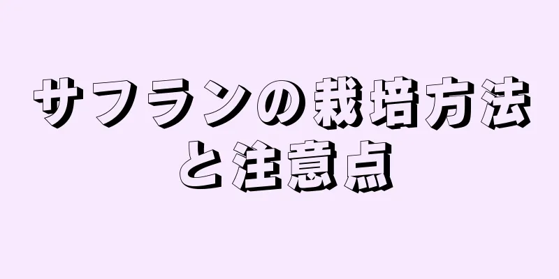 サフランの栽培方法と注意点