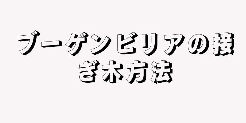 ブーゲンビリアの接ぎ木方法