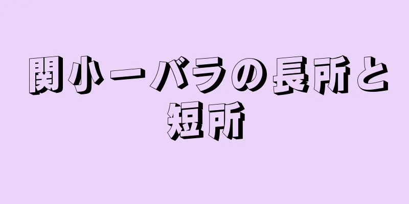 関小一バラの長所と短所