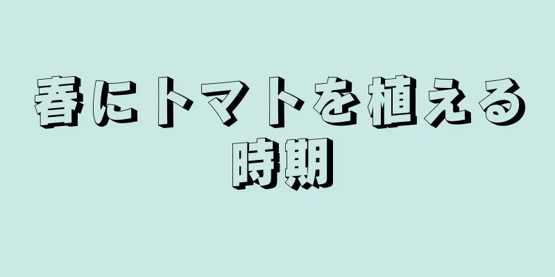 春にトマトを植える時期