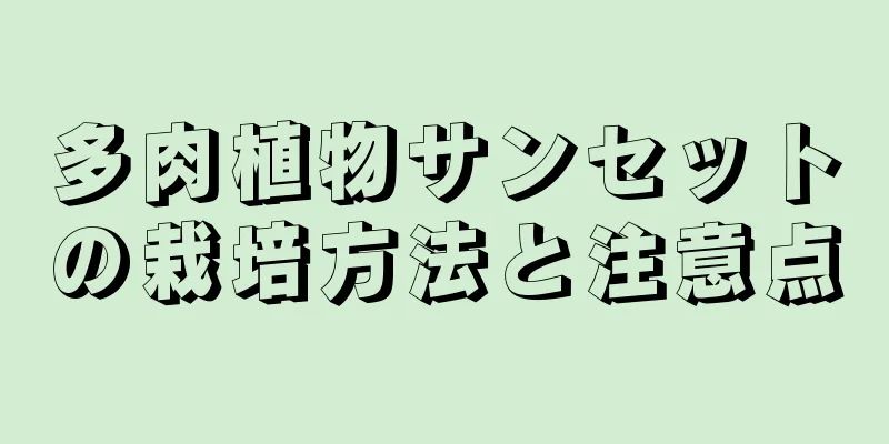 多肉植物サンセットの栽培方法と注意点