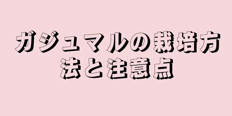 ガジュマルの栽培方法と注意点