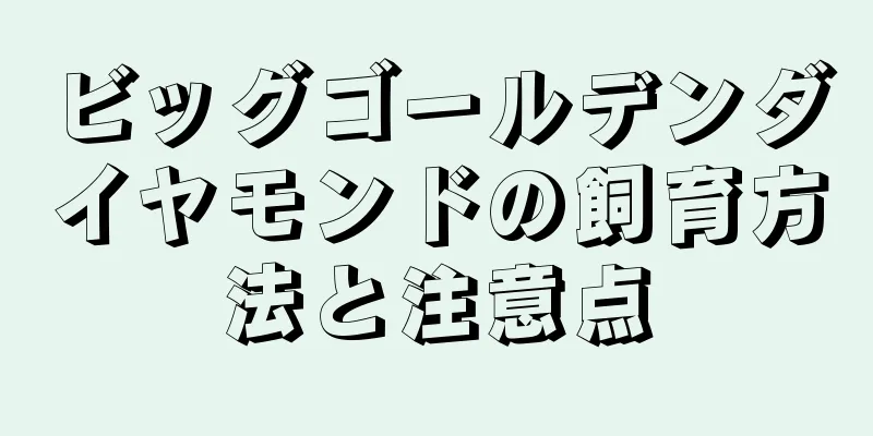 ビッグゴールデンダイヤモンドの飼育方法と注意点