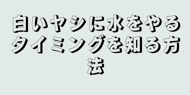 白いヤシに水をやるタイミングを知る方法