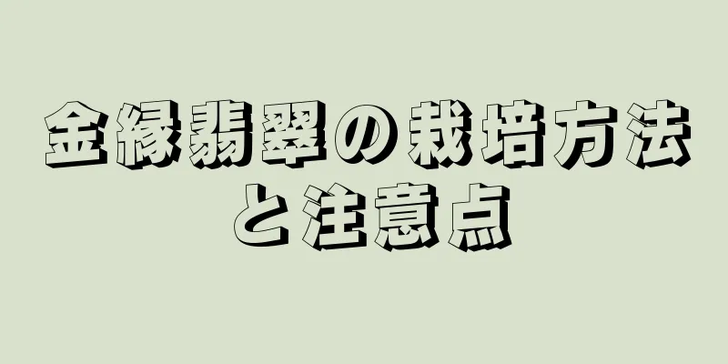 金縁翡翠の栽培方法と注意点