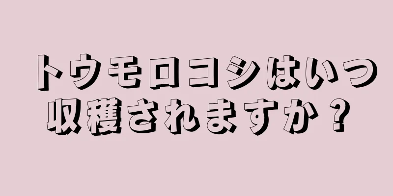 トウモロコシはいつ収穫されますか？