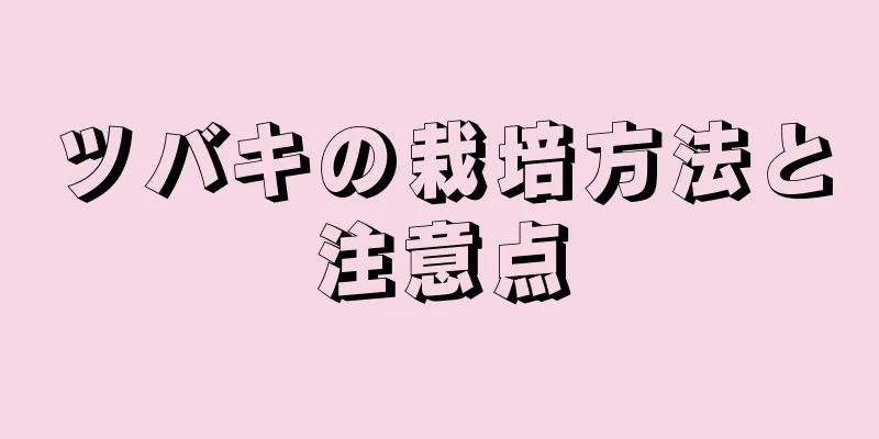 ツバキの栽培方法と注意点