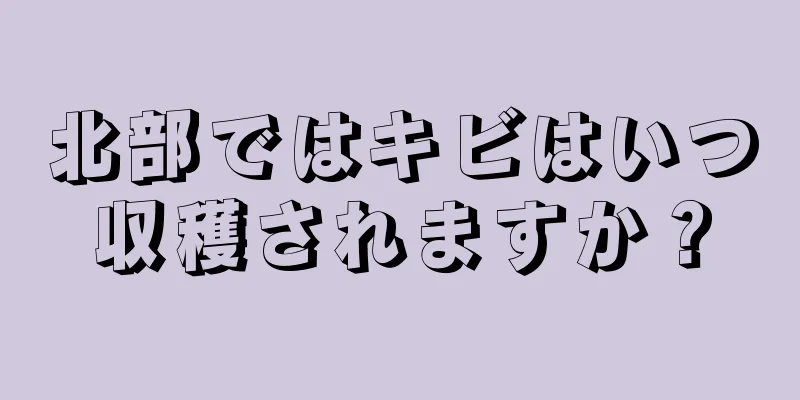 北部ではキビはいつ収穫されますか？