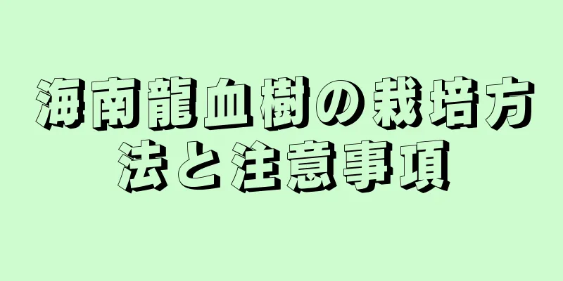 海南龍血樹の栽培方法と注意事項