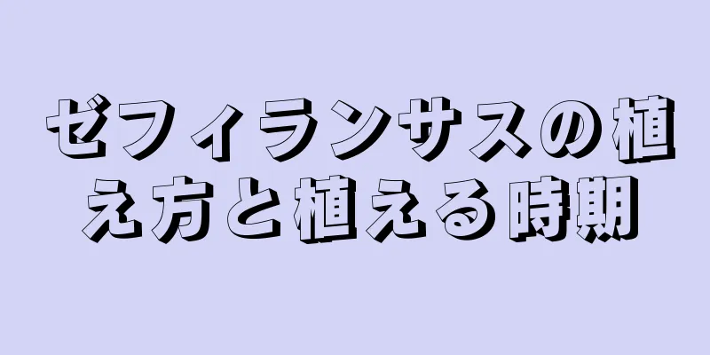 ゼフィランサスの植え方と植える時期