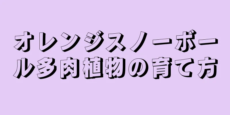 オレンジスノーボール多肉植物の育て方