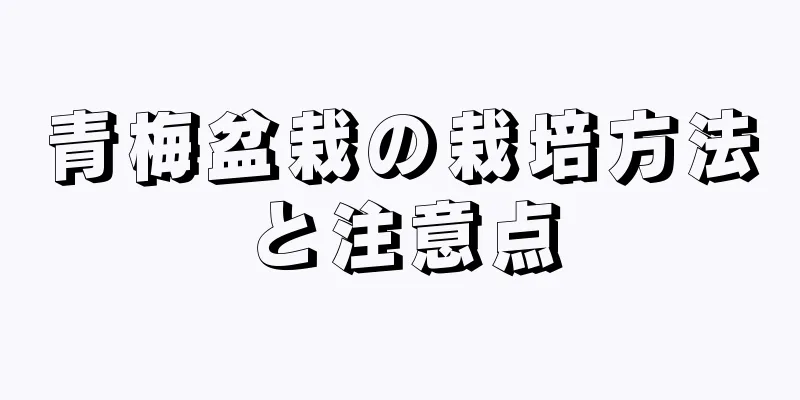 青梅盆栽の栽培方法と注意点