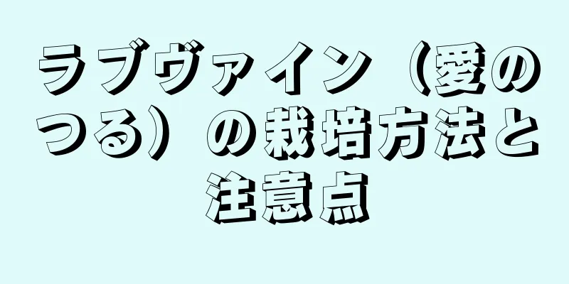 ラブヴァイン（愛のつる）の栽培方法と注意点