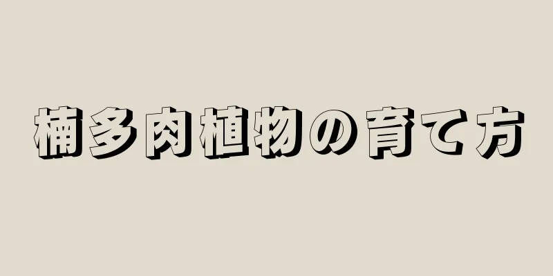 楠多肉植物の育て方