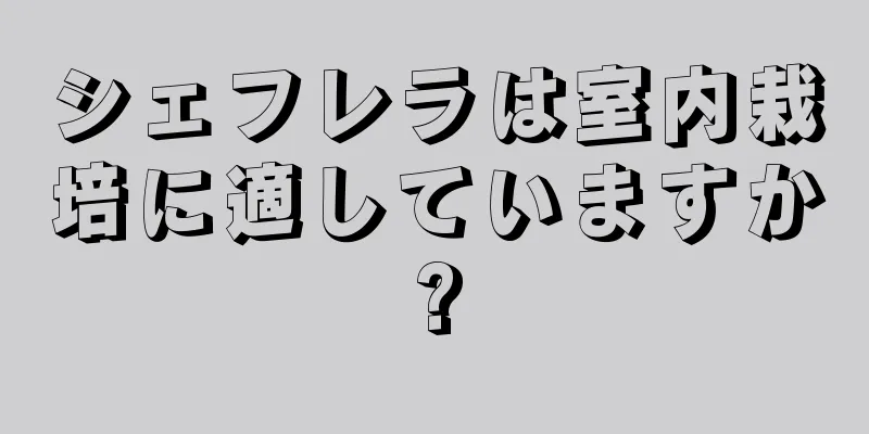 シェフレラは室内栽培に適していますか?