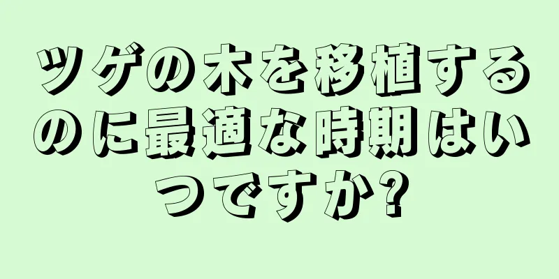 ツゲの木を移植するのに最適な時期はいつですか?