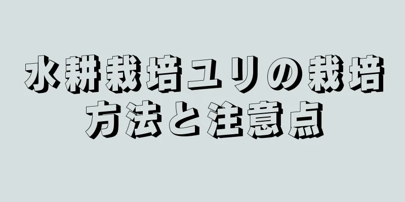 水耕栽培ユリの栽培方法と注意点