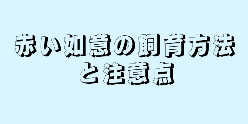 赤い如意の飼育方法と注意点