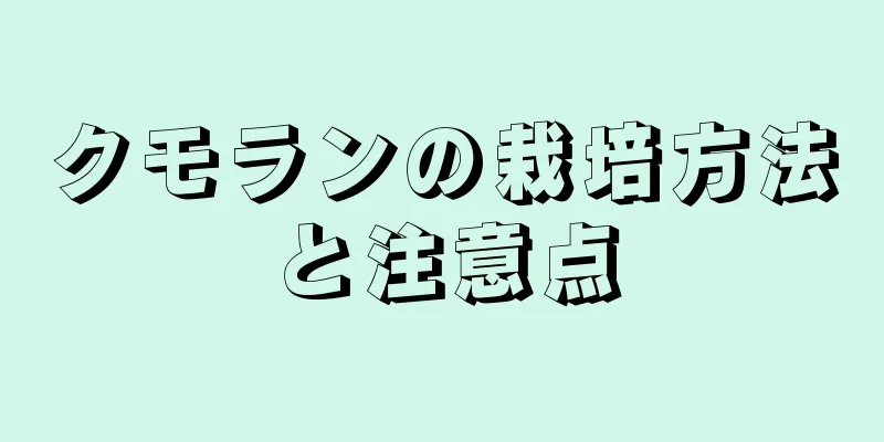 クモランの栽培方法と注意点