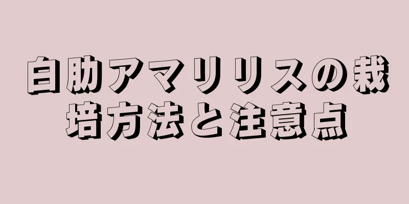 白肋アマリリスの栽培方法と注意点