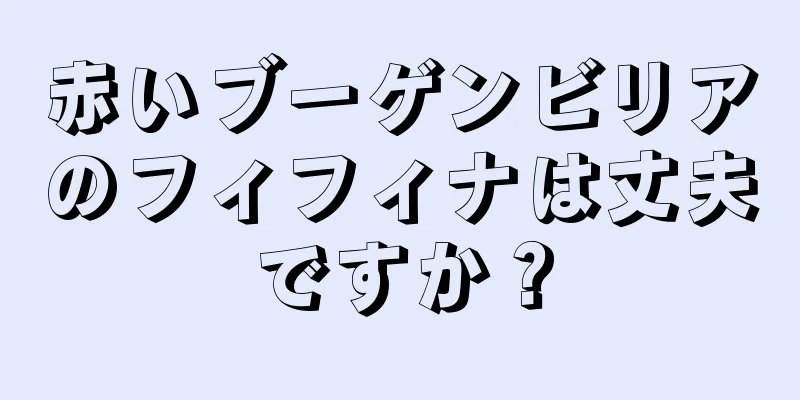 赤いブーゲンビリアのフィフィナは丈夫ですか？
