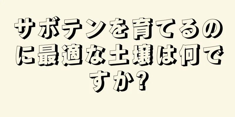 サボテンを育てるのに最適な土壌は何ですか?
