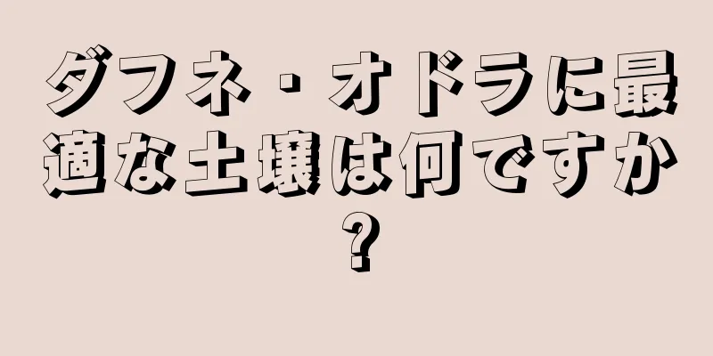 ダフネ・オドラに最適な土壌は何ですか?