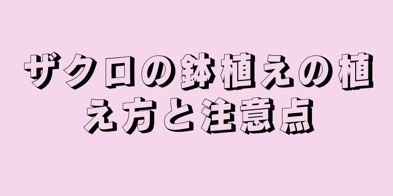 ザクロの鉢植えの植え方と注意点