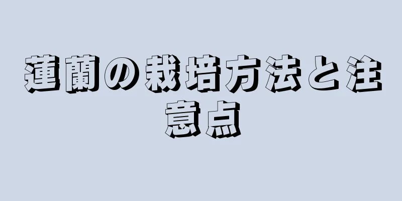 蓮蘭の栽培方法と注意点